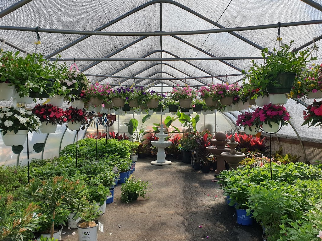 Acers Florist & Garden Center | 2077 Jericho Turnpike, Commack, NY 11725 | Phone: (631) 343-7123