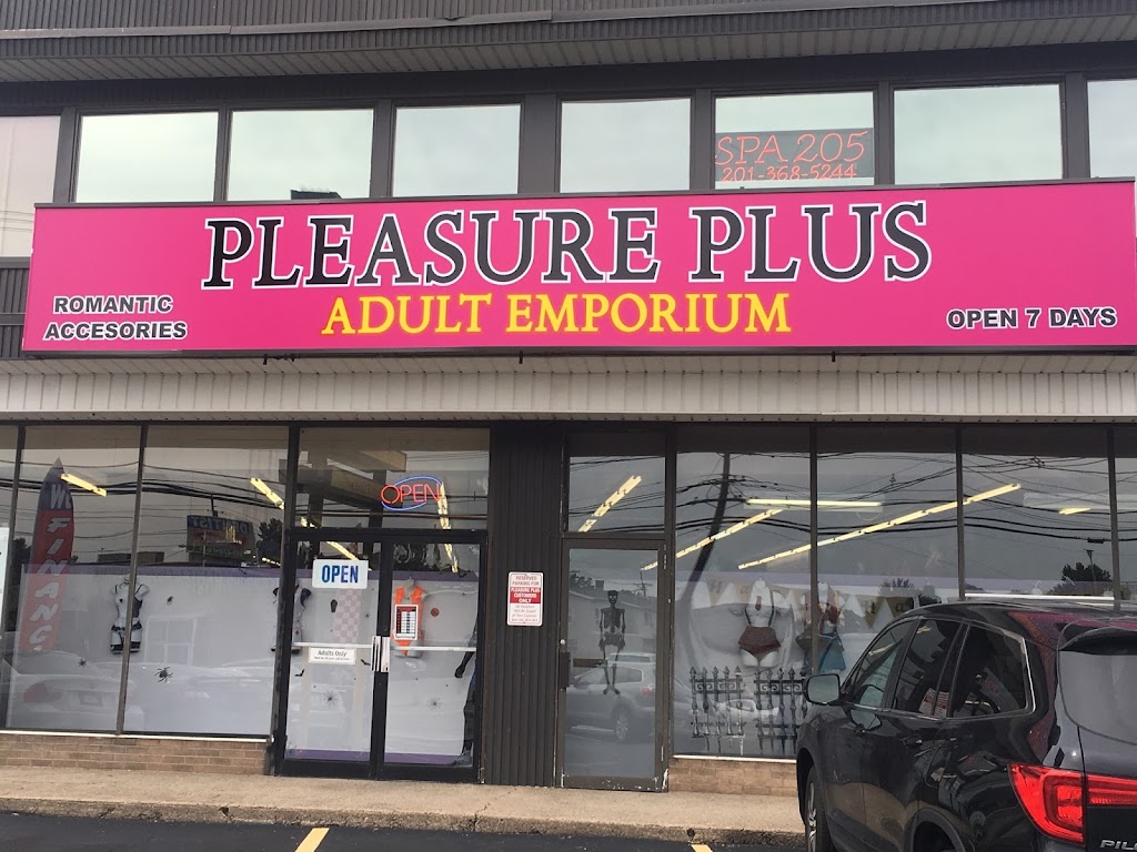Pleasure Plus Video | 205 N 6th St UNIT 46, Saddle Brook, NJ 07663 | Phone: (201) 587-1200