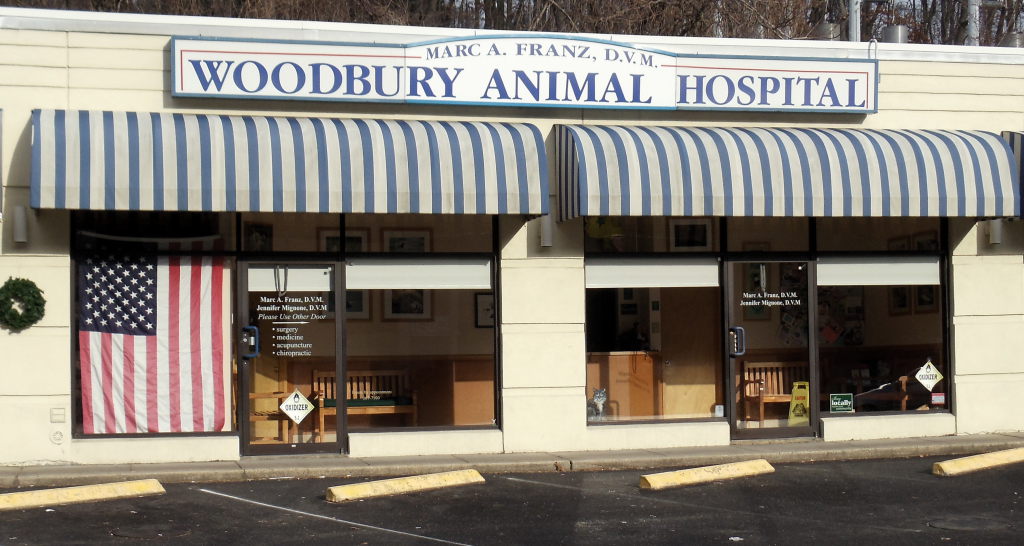 Woodbury Animal Hospital | 145 Woodbury Rd, Woodbury, NY 11797 | Phone: (516) 367-7100