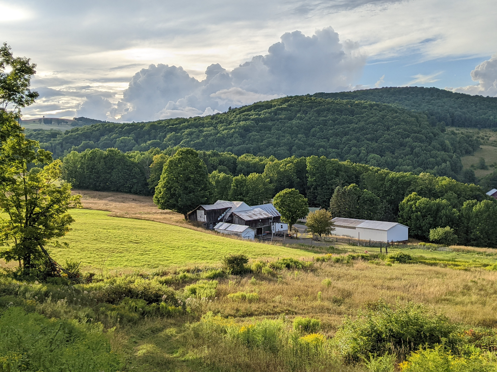 Skyhold Ranch | 7947 Elk Creek Rd, Delhi, NY 13753 | Phone: (607) 746-8078