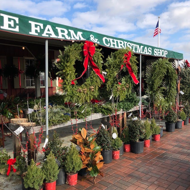 Keris Tree Farm & Christmas Shop | 848 New Canton - Stone Tavern Rd, Allentown, NJ 08501 | Phone: (609) 259-0720