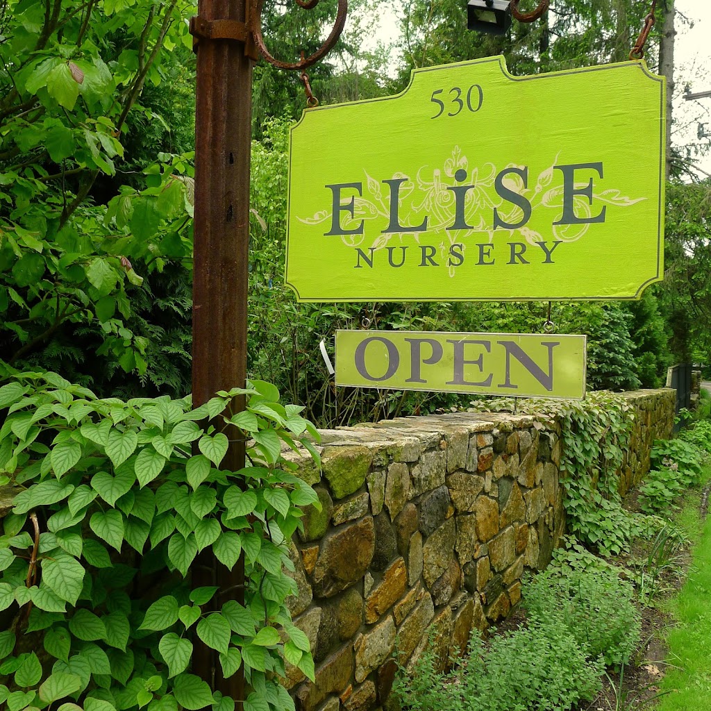 Elise Landscapes & Nursery LLC | 530 Old Stamford Rd, New Canaan, CT 06840 | Phone: (203) 966-3200