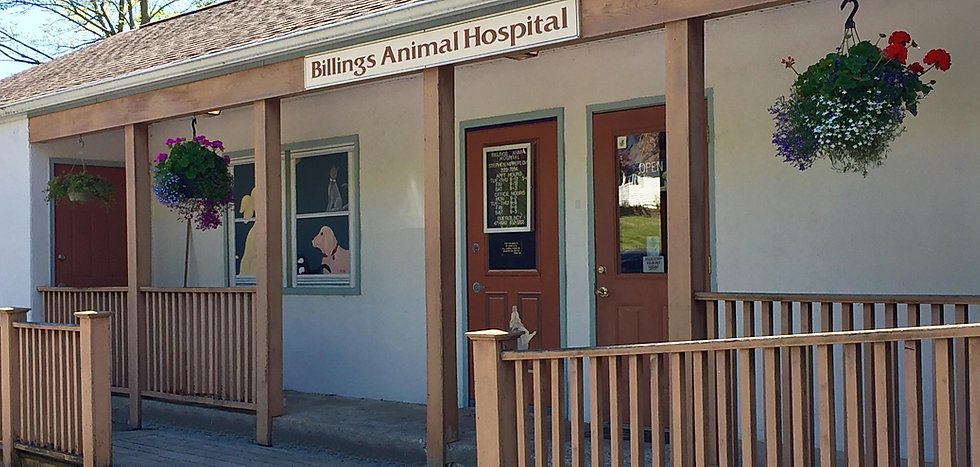 Billings Animal Hospital--Closing Our Doors as of June 1st, 2023 | 2161 NY-82, Lagrangeville, NY 12540 | Phone: (845) 223-7054