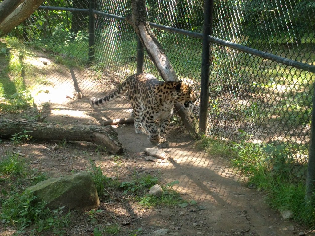 Connecticuts Beardsley Zoo | 1875 Noble Ave, Bridgeport, CT 06610 | Phone: (203) 394-6565