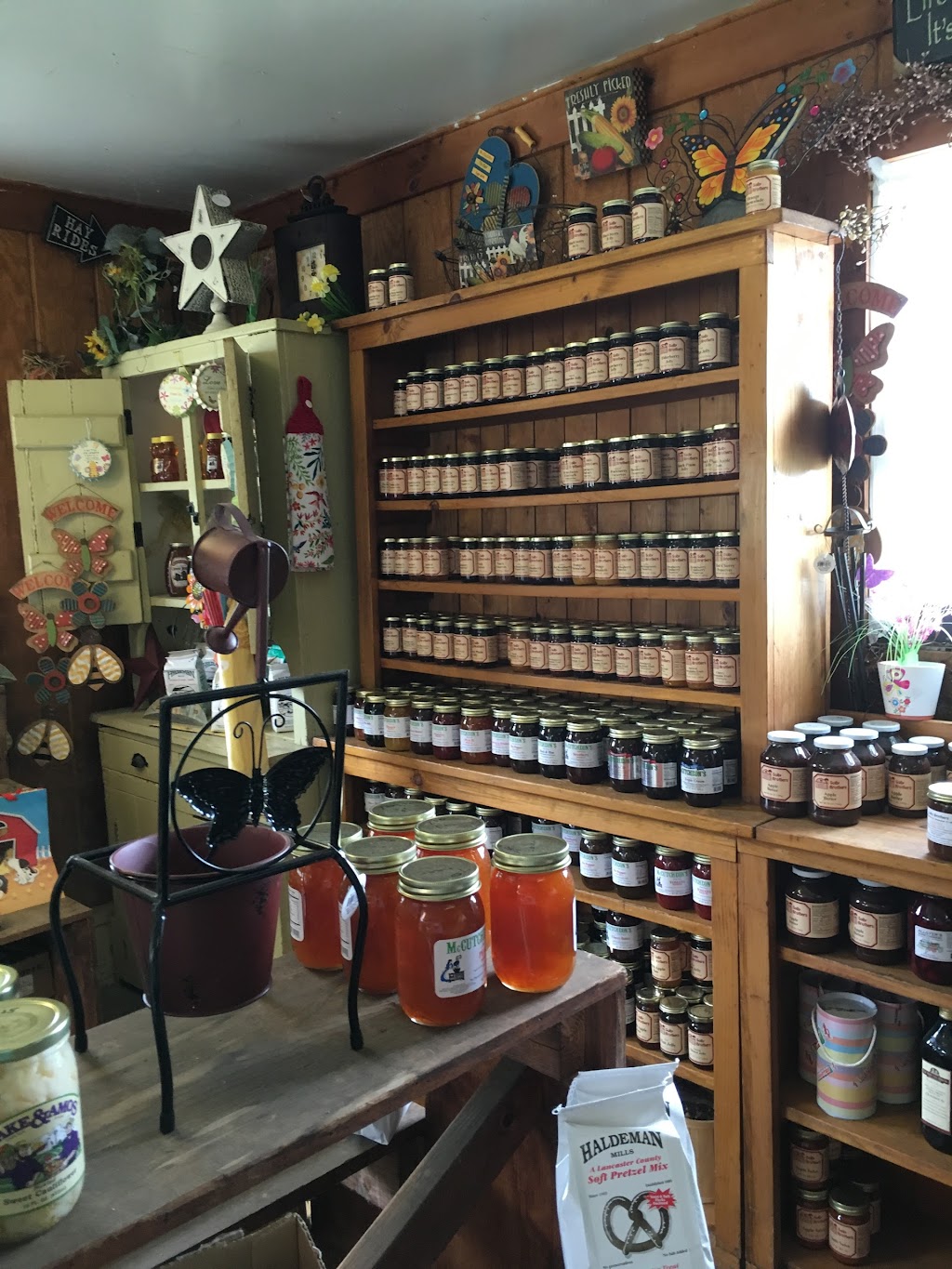 Solly Brothers Farm | 707 Almshouse Rd, Warminster, PA 18974 | Phone: (215) 357-2850