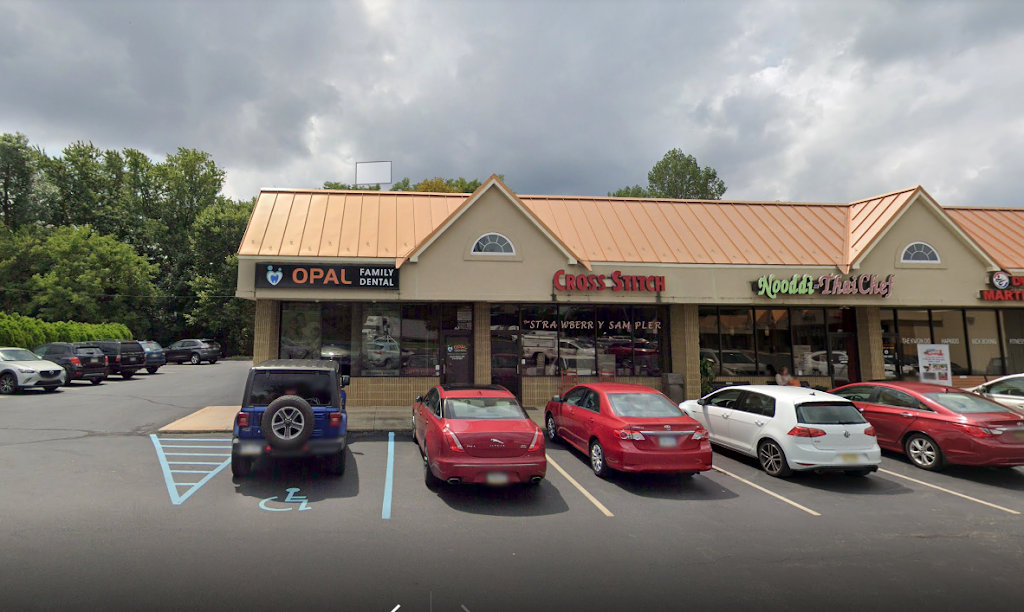 Opal Family Dental | 364 Wilmington West Chester Pike A1, Glen Mills, PA 19342 | Phone: (610) 558-0800