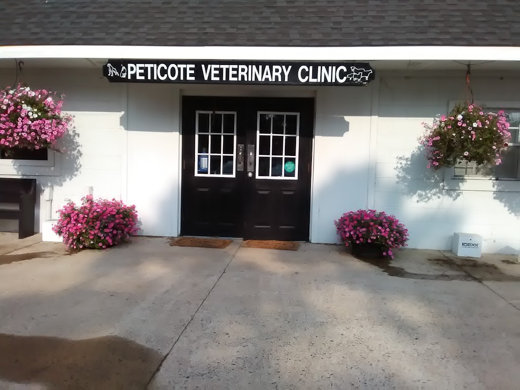 Peticote Veterinary Clinic, LLC | 221 Newbolds Corner Rd, Southampton Township, NJ 08088 | Phone: (609) 859-8800