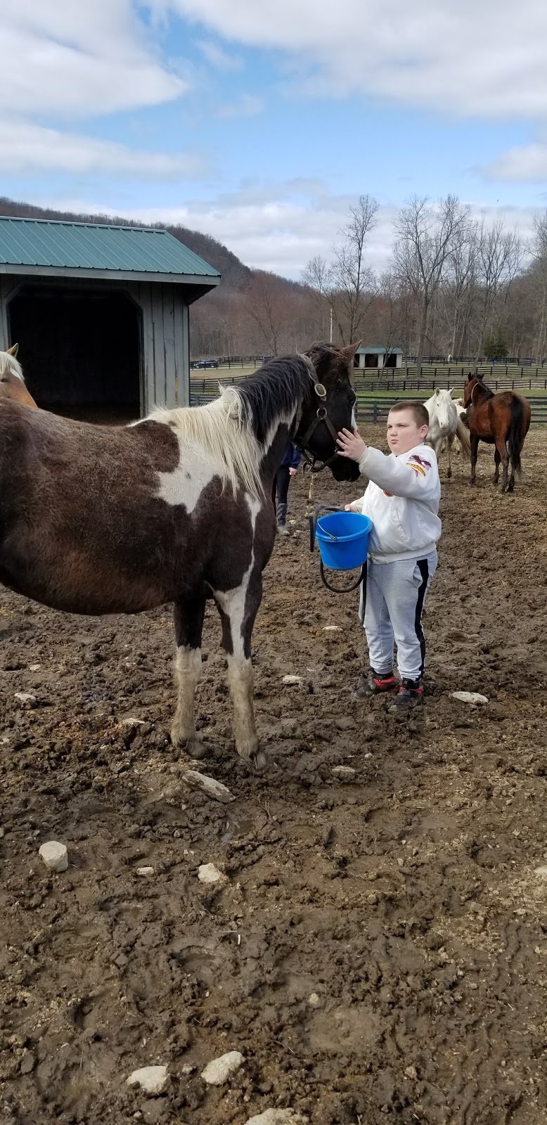 Lucky Orphans Horse Rescue | 2699 NY-22 #334, Dover Plains, NY 12522 | Phone: (845) 877-0685