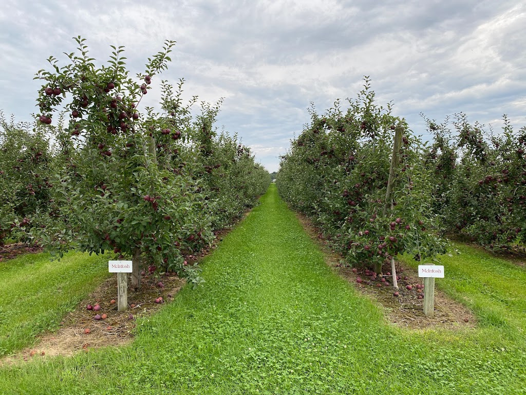 Samascott Orchards | 5 Sunset Ave, Kinderhook, NY 12106 | Phone: (518) 217-2868