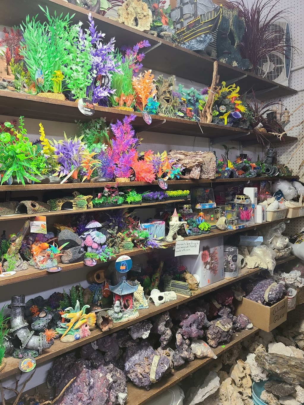 Emmons Tropical Fish & Ponds | 1612 Hopmeadow St, Simsbury, CT 06070 | Phone: (860) 658-5401