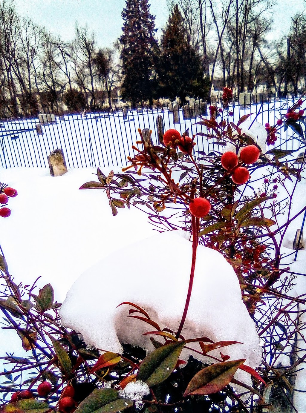 Mt Holly Cemetery | 131 Broad St, Mt Holly, NJ 08060 | Phone: (609) 267-4201