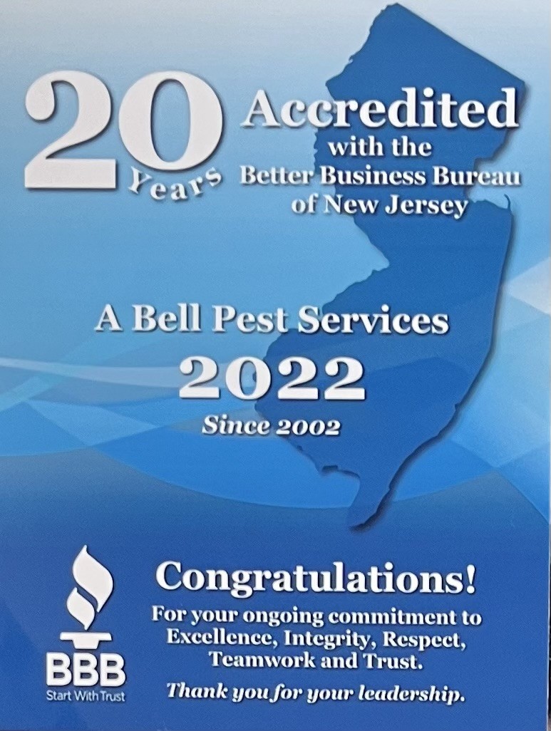 A Bell Pest Services | 100 Dobbs Ln #100, Cherry Hill, NJ 08034 | Phone: (800) 560-2235