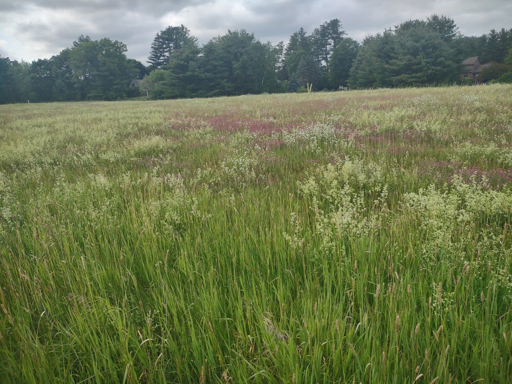 Mass Audubon Canoe Meadows Wildlife Sanctuary | 309 Holmes Rd, Pittsfield, MA 01201 | Phone: (413) 637-0320