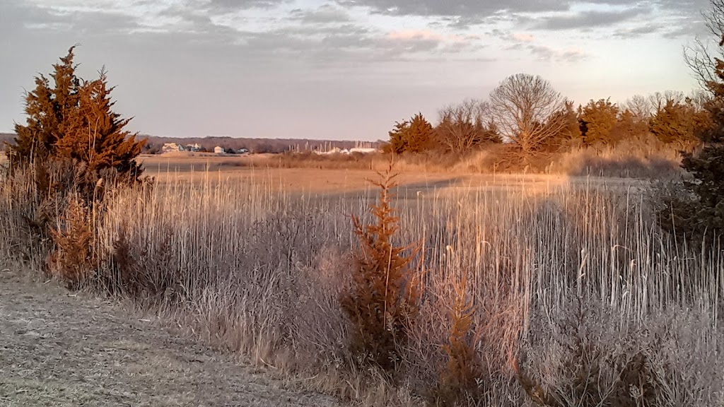 Hammonasset Natural Area Preserve | Madison, CT 06443 | Phone: (203) 245-2785