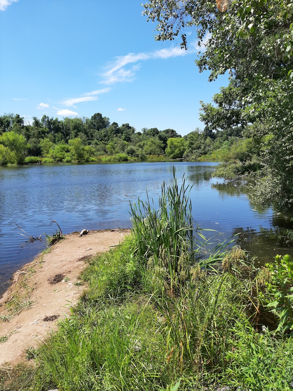 Silver Valley Natural Area | 152 Silver Valley Rd, Brodheadsville, PA 18322 | Phone: (570) 992-7247