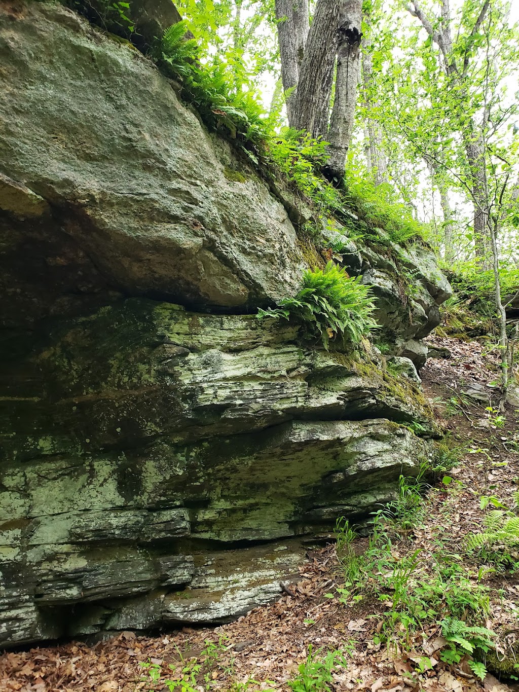 Indian Rock Shelter Trailhead | 76 Lake Dr, Madison, CT 06443 | Phone: (475) 221-5758