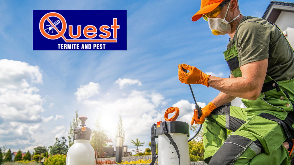 Quest Termite & Pest Management | 1319 Main St, Hellertown, PA 18055 | Phone: (610) 867-7378