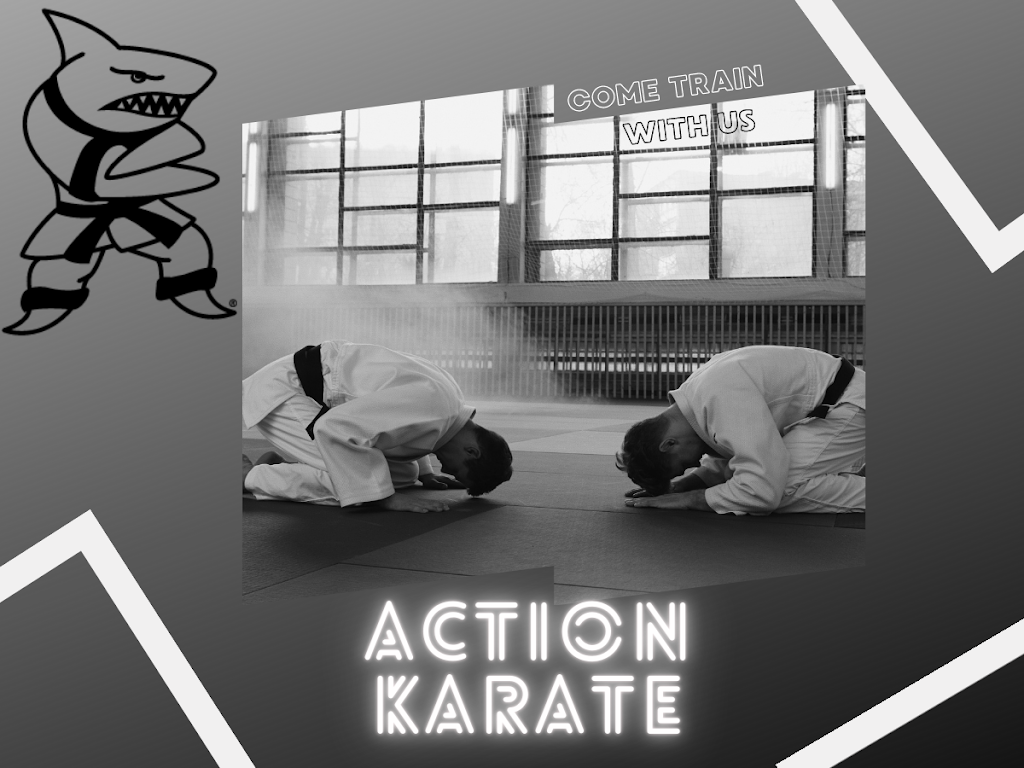 Action Karate Fountainville | 1456 Ferry Rd #325, Doylestown, PA 18901 | Phone: (267) 685-9847