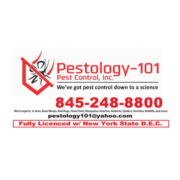 Pestology -101 | 5273 Rte 9W, Newburgh, NY 12550 | Phone: (845) 248-8800