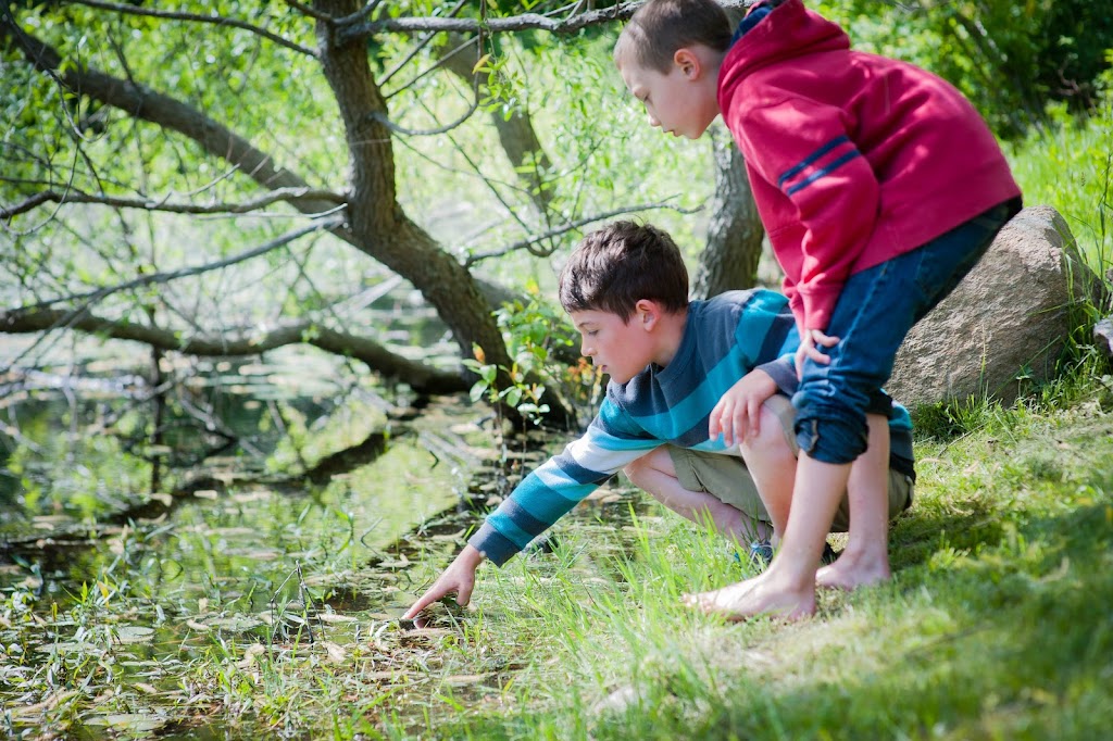 The Childrens Tree Montessori School | 96 Essex Rd, Old Saybrook, CT 06475 | Phone: (860) 388-3536