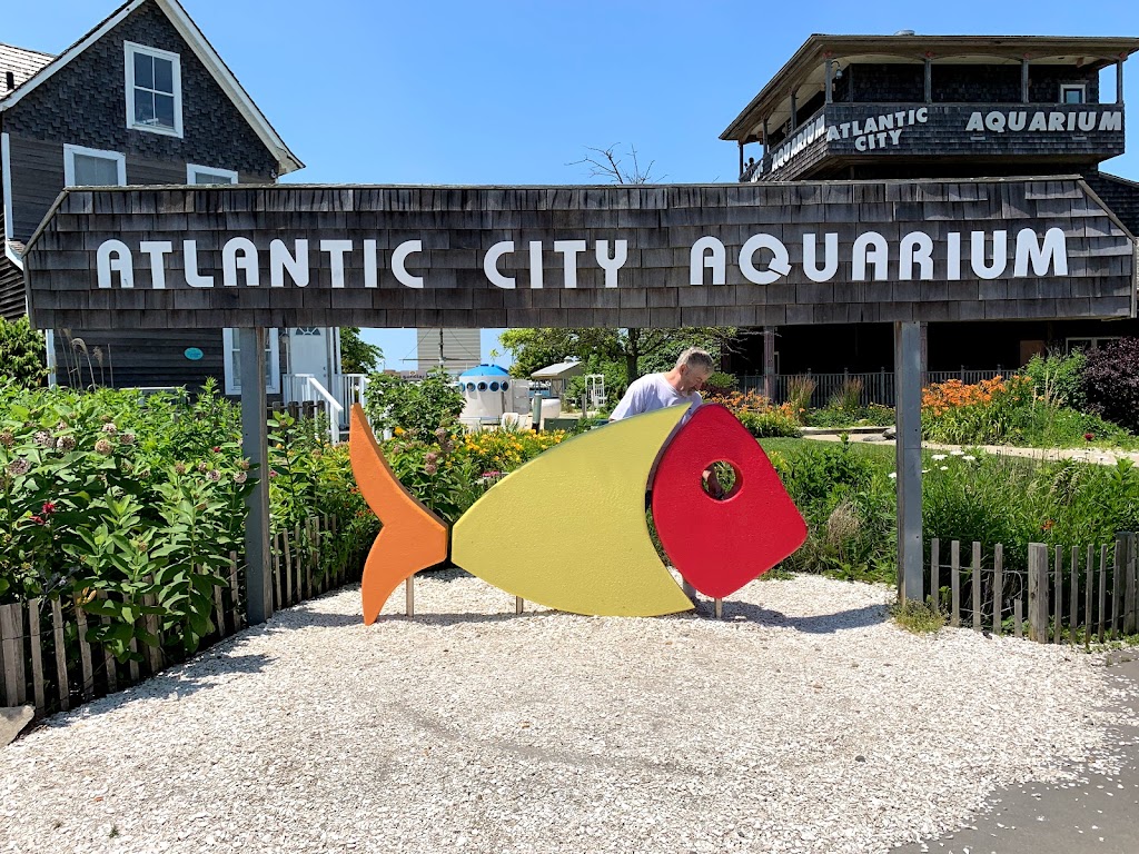 Atlantic City Aquarium | 800 N New Hampshire Ave, Atlantic City, NJ 08401 | Phone: (609) 348-2880