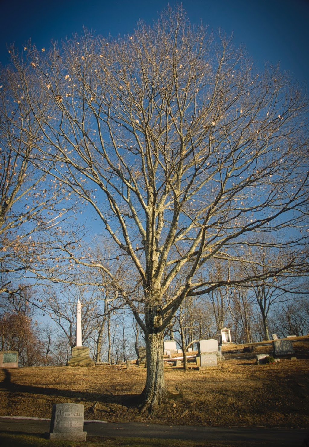 Rockland Cemetery | 201 Kings Hwy, Sparkill, NY 10976 | Phone: (845) 359-0172