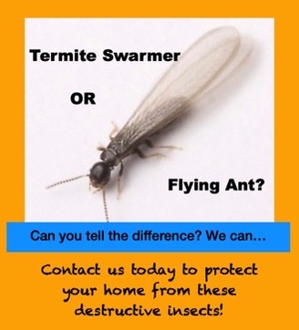 Shoreline Pest Solutions | 325 Sentry Parkway Building 5 West, #200, Blue Bell, PA 19422 | Phone: (267) 894-0362