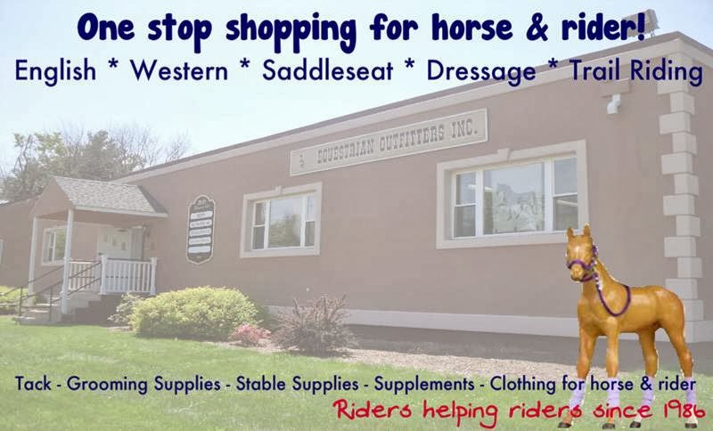 Equestrian Outfitters Inc | 23 Eleanor Rd, Somers, CT 06071 | Phone: (860) 749-4420