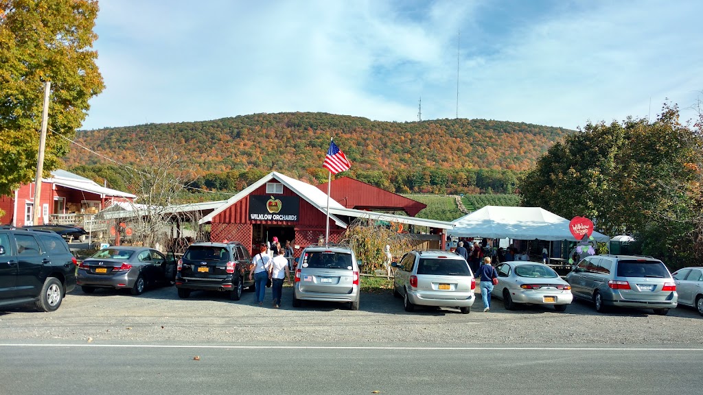 Wilklow Orchards | 341 Pancake Hollow Rd, Highland, NY 12528 | Phone: (845) 691-2339