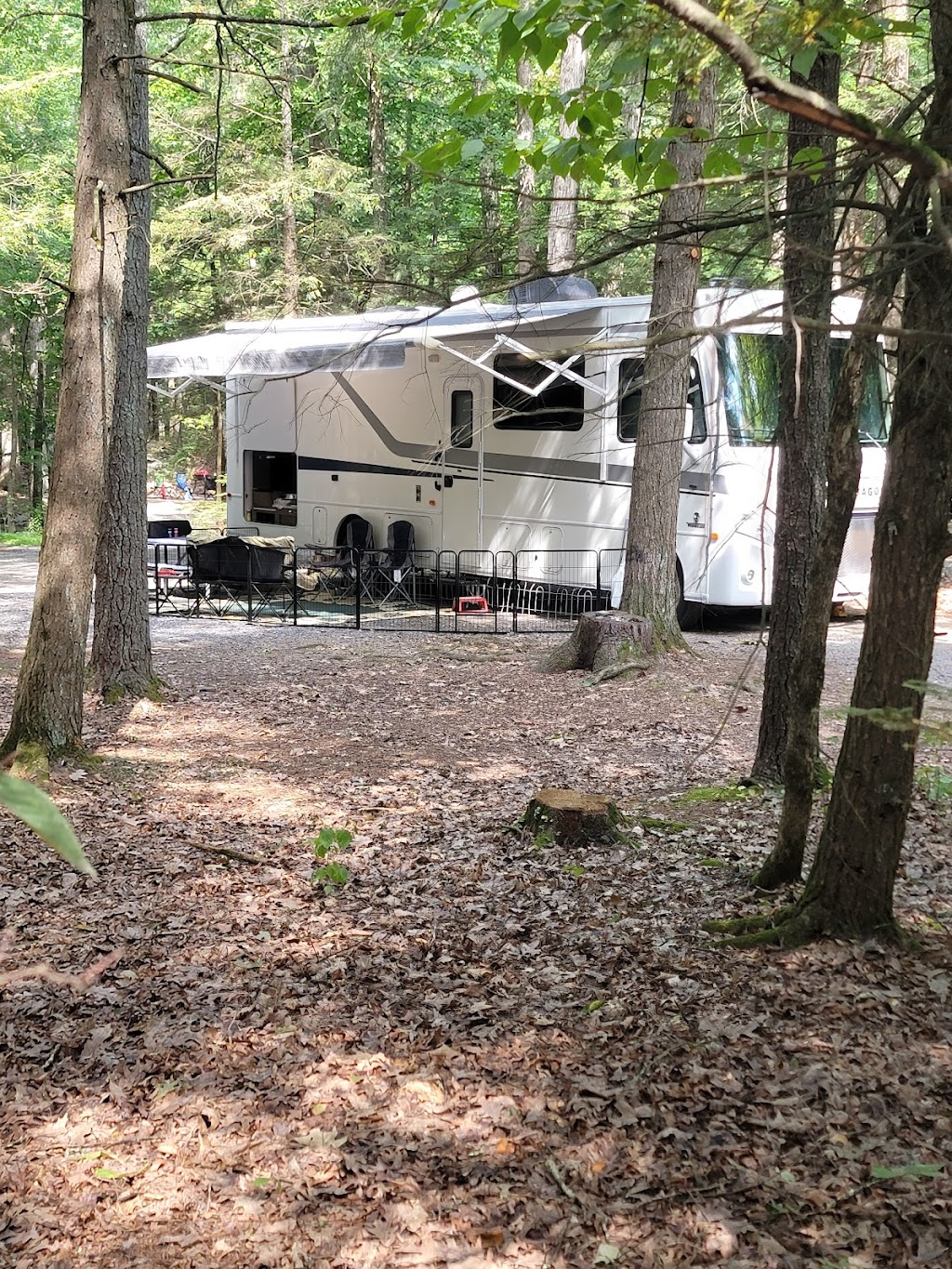 Rip Van Winkle Campgrounds Inc | 149 Blue Mountain Rd, Saugerties, NY 12477 | Phone: (845) 246-8334