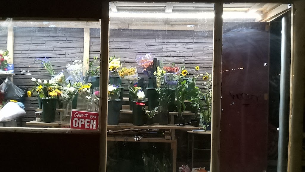Emely flower shop corp | 240 Sullivan St, New York, NY 10012 | Phone: (646) 427-4049