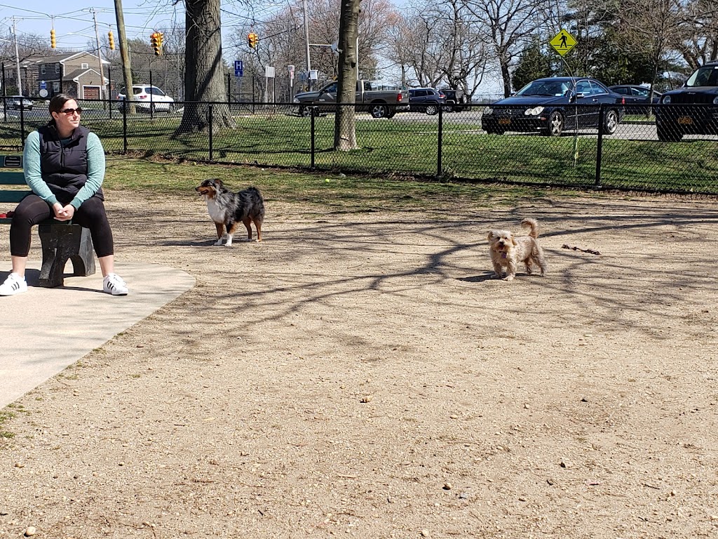 Eisenhower Dog Park | 576 Salisbury Park Dr, Westbury, NY 11590 | Phone: (516) 572-0347