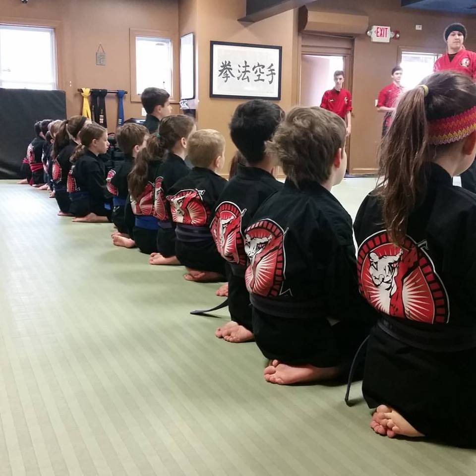 The Dojo Stamfords Karate School | 1030 Long Ridge Rd, Stamford, CT 06903 | Phone: (203) 322-2433