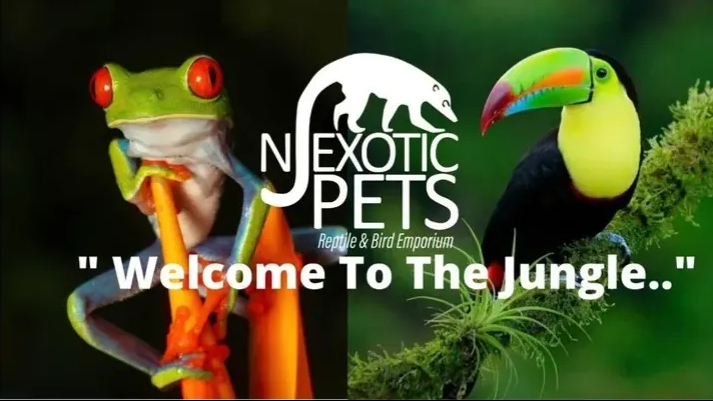 NJ Exotic Pets | 240 NJ-17 South, Lodi, NJ 07644 | Phone: (973) 396-8897