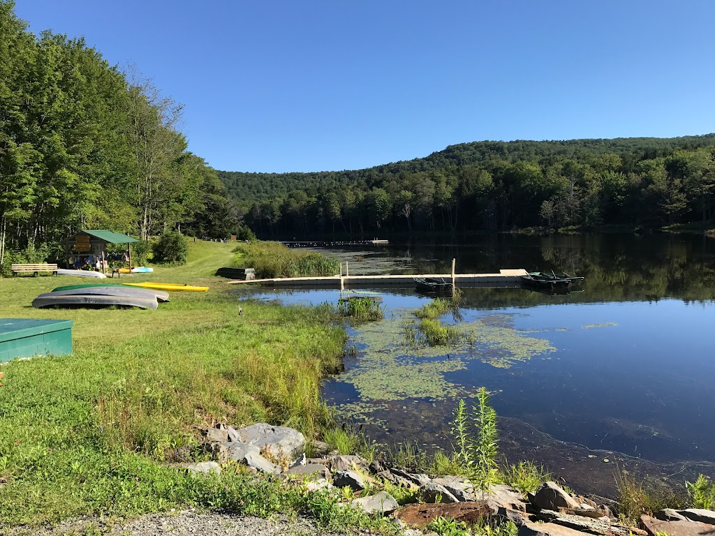 Kingswood Campsite | 1500 Hathaway Pond Rd, Hancock, NY 13783 | Phone: (607) 637-5401