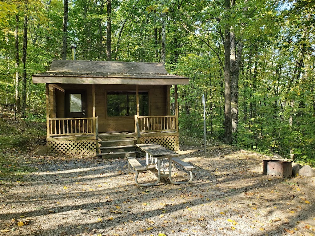 Jenny Jump State Forest | 330 State Park Rd, Hope, NJ 07844 | Phone: (908) 459-4366