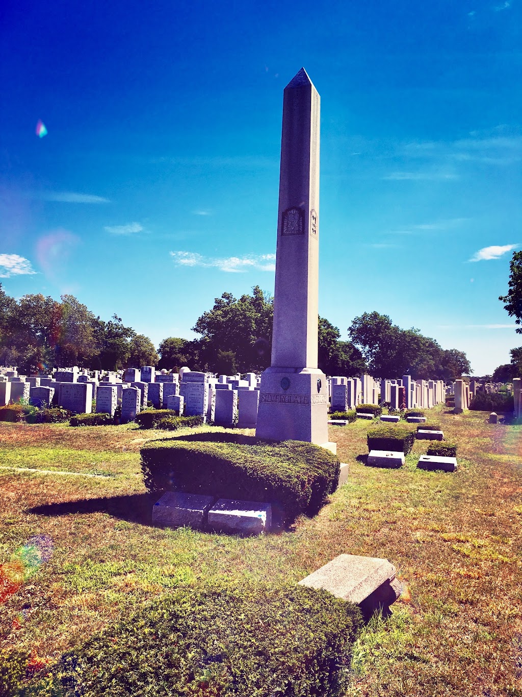 Beth David Cemetery | 300 Elmont Rd, Elmont, NY 11003 | Phone: (516) 328-1300