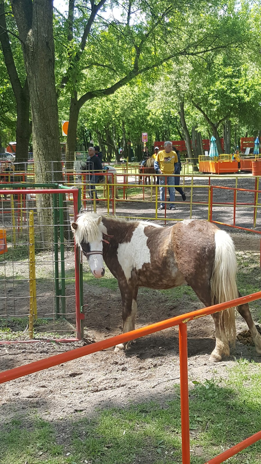 Queens County Farm Museum | 73-50 Little Neck Pkwy, Queens, NY 11004 | Phone: (718) 347-3276