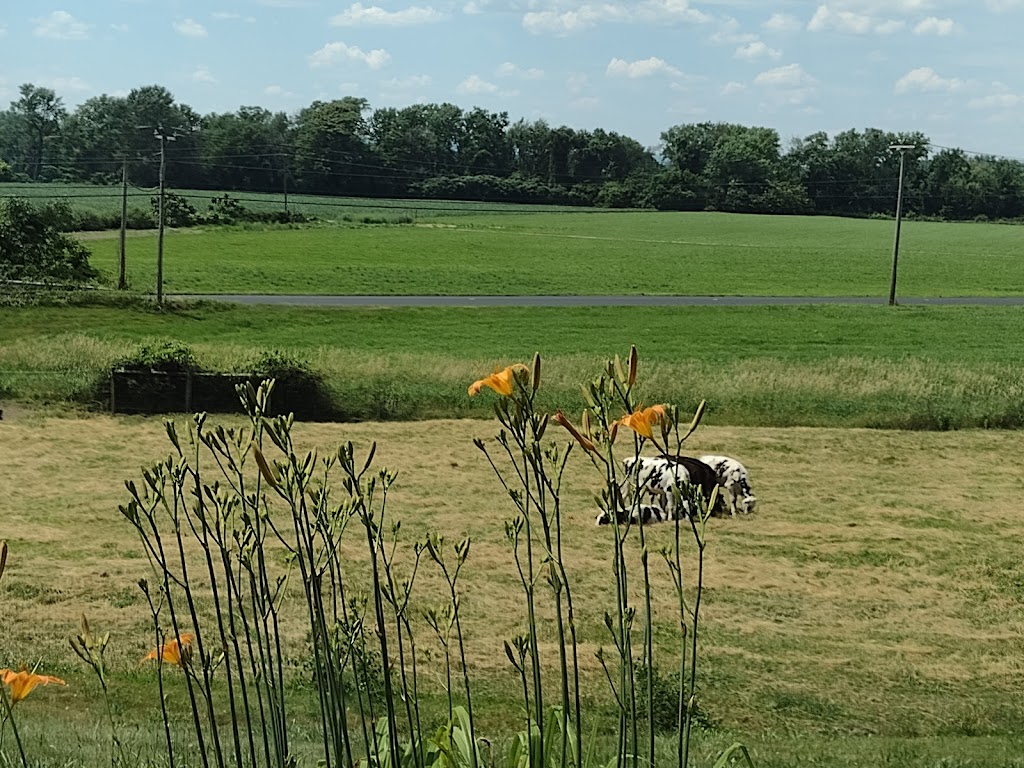 Barstows Dairy Store and Bakery at Barstows Longview Farm | 172 Hockanum Rd, Hadley, MA 01035 | Phone: (413) 586-2142