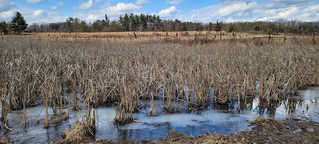 Natural Lands Willisbrook Preserve | 110 Township, Line Rd, Malvern, PA 19355 | Phone: (610) 353-5587