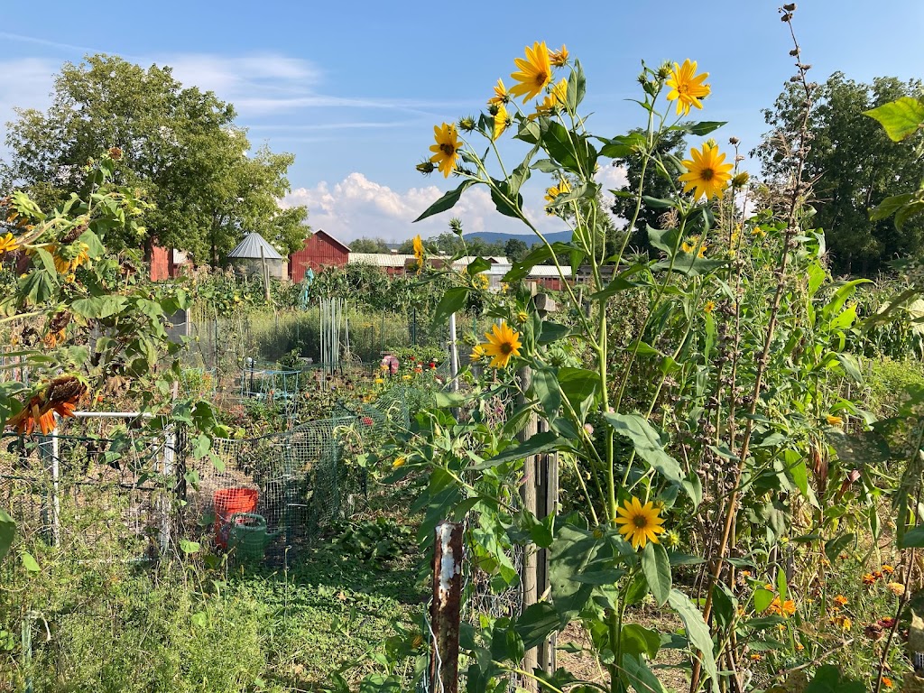 Stony Kill Farm Environmental Education Center | 79 Farmstead Ln, Wappingers Falls, NY 12590 | Phone: (845) 831-3800