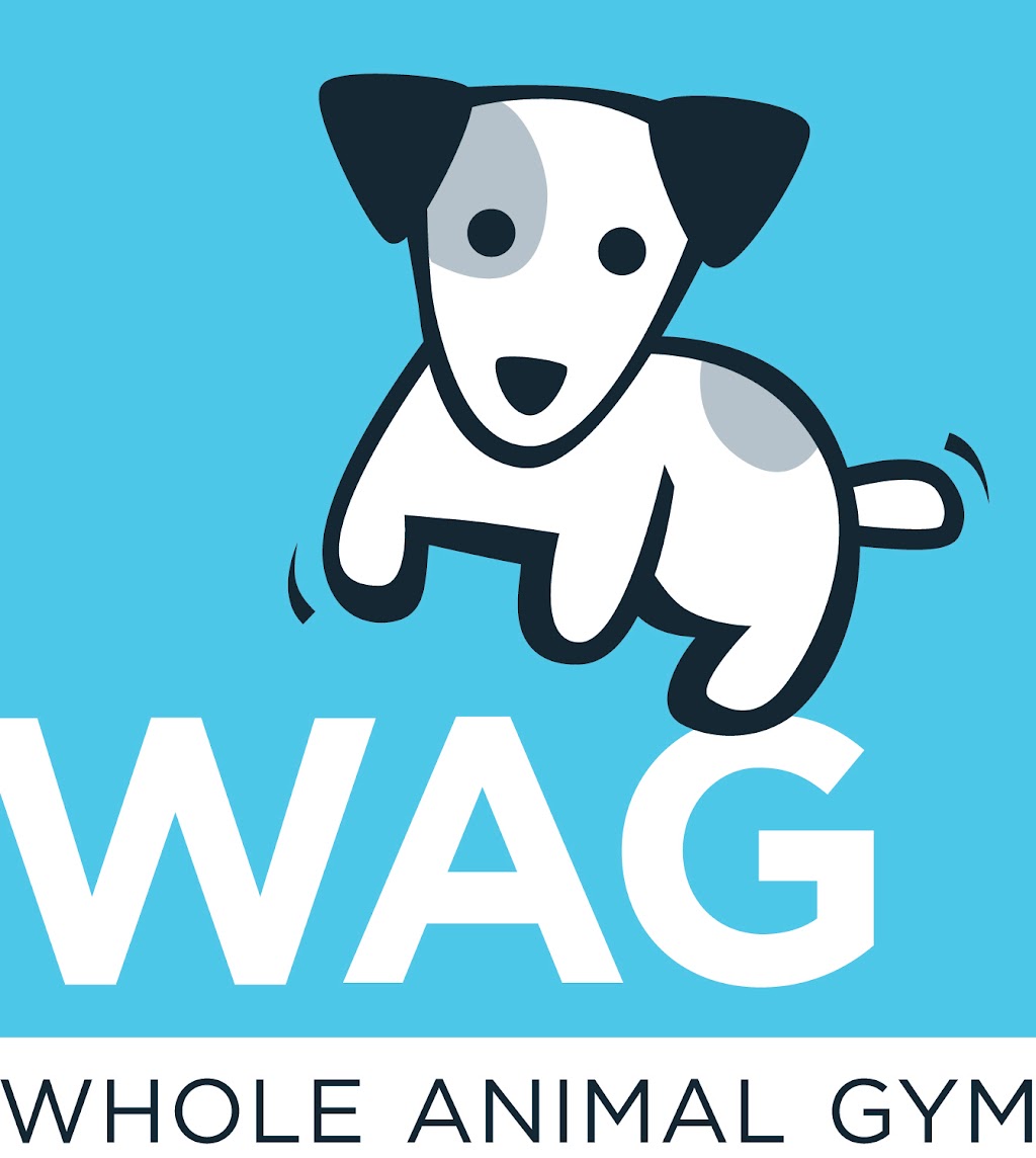 WAG: Whole Animal Gym | 2010 Cabot Blvd W G, Langhorne, PA 19047 | Phone: (267) 568-2838