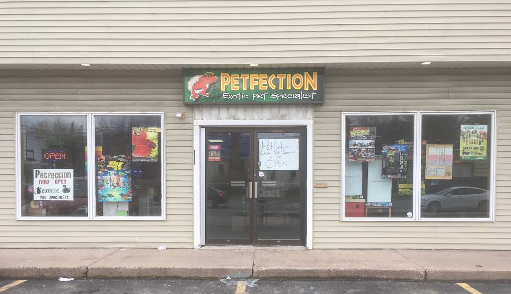Petfection Exotic Pet Specialist | 2989 PA-611 Suite 102, Tannersville, PA 18372 | Phone: (570) 629-1737