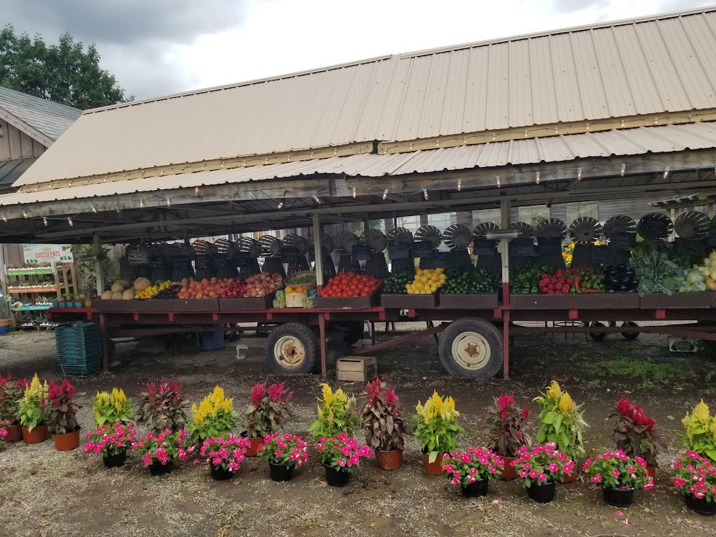 O & F Farms | 2815 W Skippack Pike, Lansdale, PA 19446 | Phone: (610) 584-0666