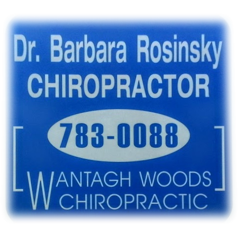 Wantagh Woods Chiropractic & Wellness - Barbara Rosinsky DC | 1705 Wantagh Ave, Wantagh, NY 11793 | Phone: (516) 783-0088