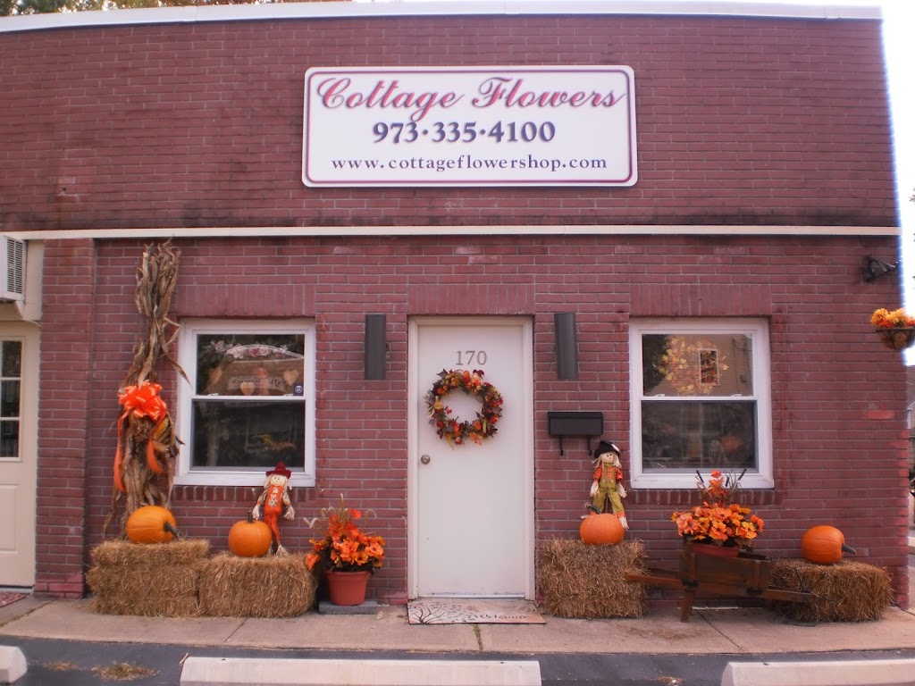 Cottage Flowers | 170 Halsey Rd, Parsippany, NJ 07054 | Phone: (973) 335-4100