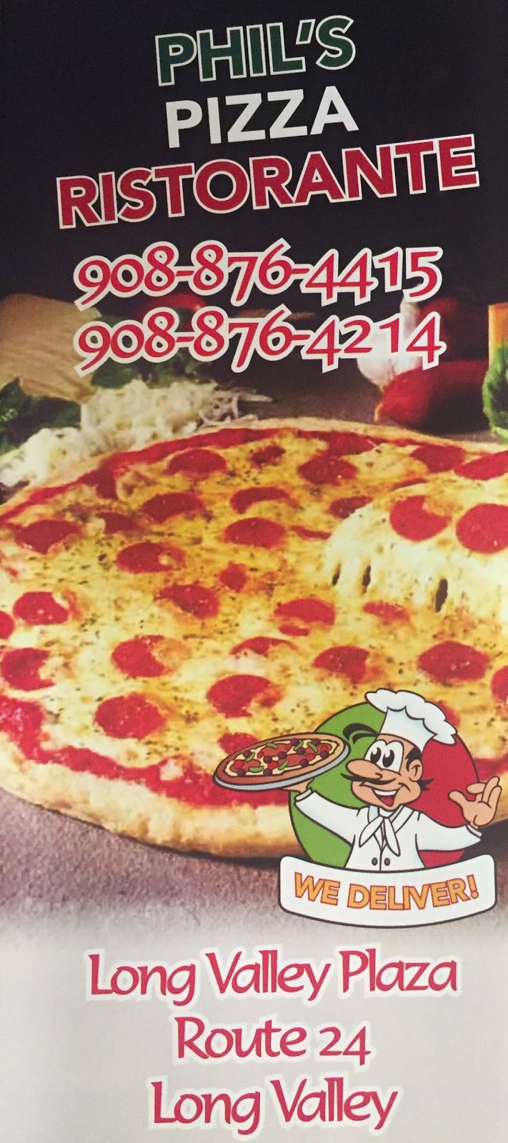 Vale Pizza | 67 E Mill Rd, Long Valley, NJ 07853 | Phone: (908) 876-4415