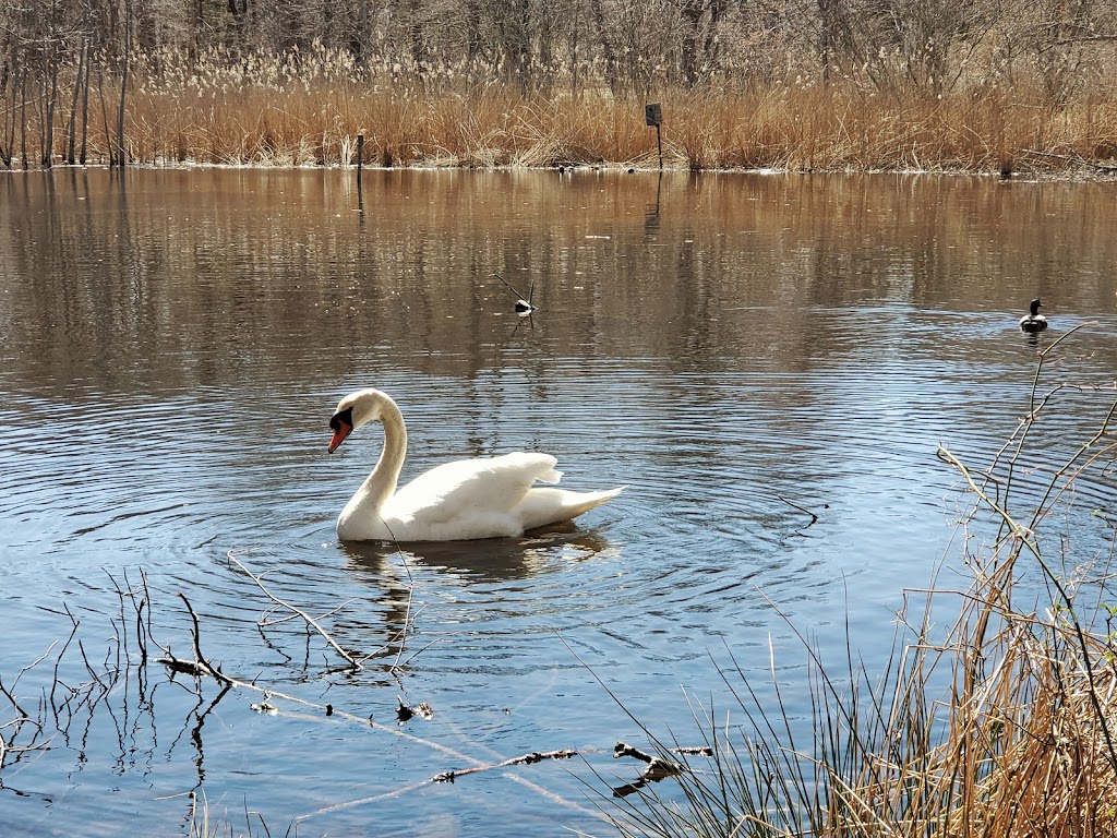 Elizabeth A. Morton National Wildife Refuge | 2595 Noyack Rd, Sag Harbor, NY 11963 | Phone: (631) 725-7598