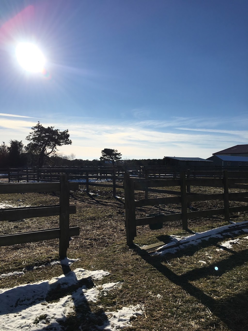 Laurel Crown Farms | 48 Lewis Rd, East Quogue, NY 11942 | Phone: (631) 996-4245
