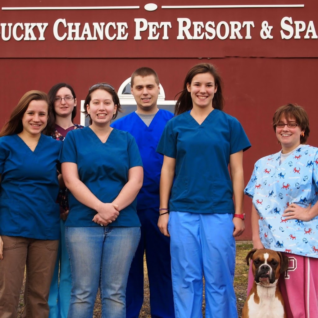 Lucky Chance Pet Resort & Spa | 1945 State Rd, Quakertown, PA 18951 | Phone: (610) 346-7854